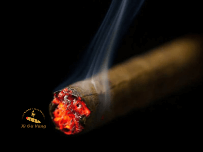 Chọn xì gà theo hương vị